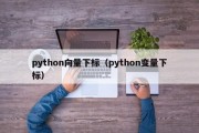 python向量下标（python变量下标）