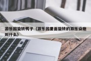 游乐园旋转鸭子（游乐园里面旋转的游乐设施叫什么）
