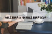 陕西宜君县房价（陕西省宜君县房价怎样）