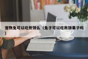 宠物兔可以吃煎饼么（兔子可以吃煎饼果子吗）