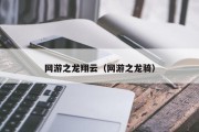 网游之龙翔云（网游之龙骑）